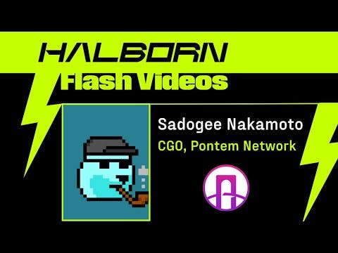 Halborn Flash Videos with Sadogee Nakamoto of Pontem Network