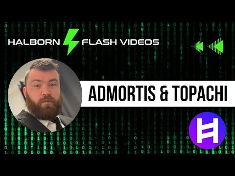 Halborn Flash Video with Admortis &amp; Topachi of HbarSuite